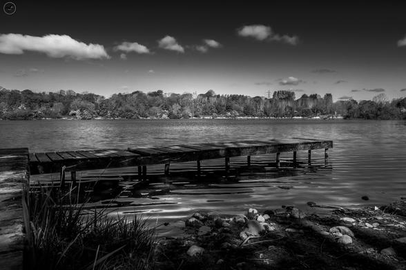 Monochrome shot of wooden jetty on pond