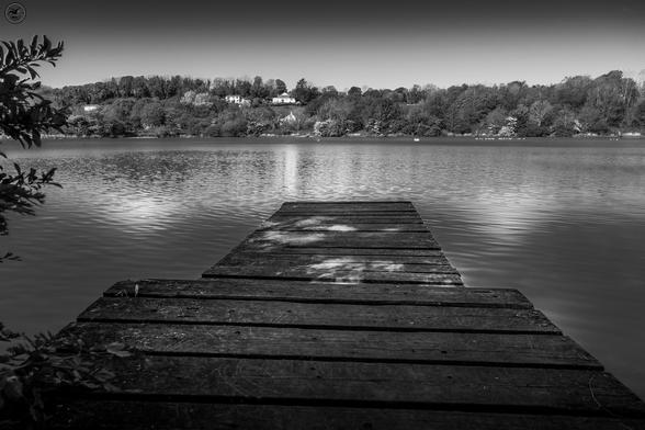 Monochrome shot of wooden jetty on pond