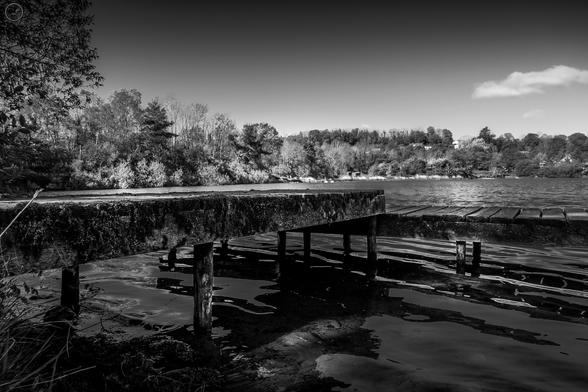 Monochrome shot of wooden jetty on pond