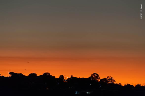 An orange sky heralds the beginning of a new day, backlighting a suburban skyline of dark, silhouetted trees and houses. A few streetlights pick out a hillside road, and lights are on in a couple of early rising houses.