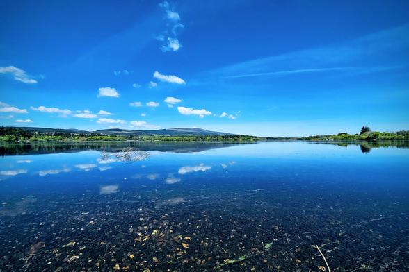 A wide shot of a calm, clear blue lake reflecting a bright blue sky with scattered white clouds. The foreground shows shallow water with visible pebbles on the lakebed. Green trees line the distant shore under a clear horizon.
