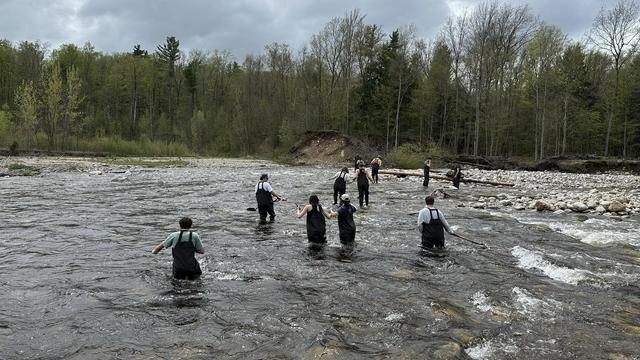A dozen people wearing chest waders fording a wide river.