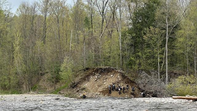 A distant view of people digging in a river bank.  Trees are just beginning to show spring green colors.