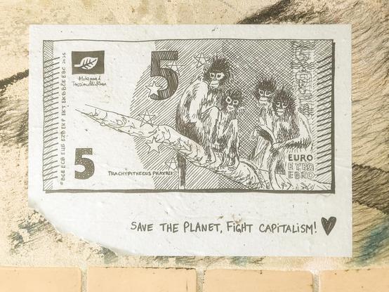 5€,  Trachypithecus phayrei