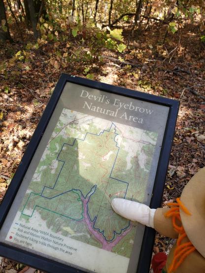 Ranger Sarah points out her location on the map. Only a little more hiking to reach the summit of Trimble Mountain.
— at Devil's Eyebrow Natural Area.