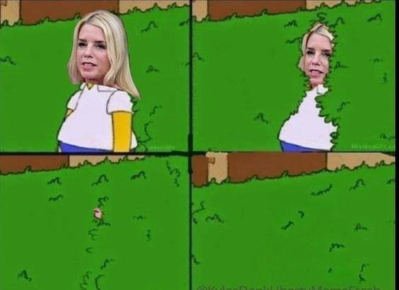 Pam Bondi, anytime the Epstein files are mentioned. .