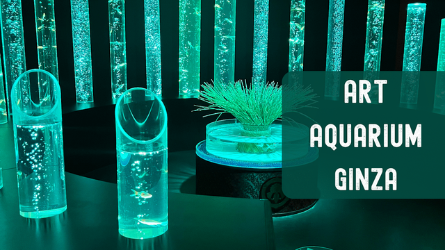 Art Aquarium Ginza picture - turquoise colored tubes filled with water and plants