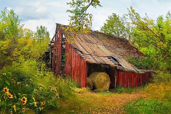 Old red barn, weathered and dilapidated, in Northeast Tennessee.  Image includes warm colors of yellow, green red and brown, and has a textured overlay to enhance the rural setting. From the Fine Art Gallery of Shelia Hunt.