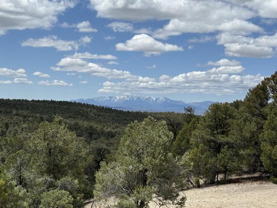 A view of snowcapped mountains far away. Forest in foreground. Lots of clouds in blue sky.