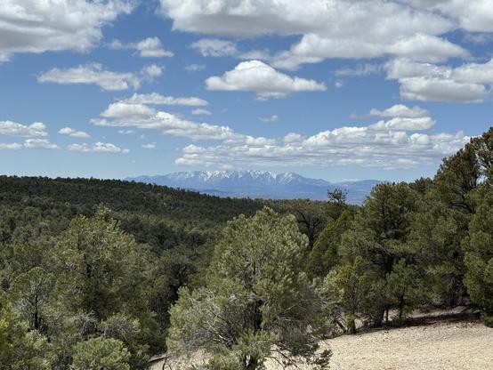 A view of snowcapped mountains far away. Forest in foreground. Lots of clouds in blue sky.
