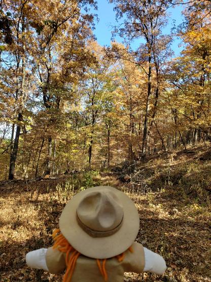 Ranger Sarah makes the final climb to the summit of Trimble Mountain.
—  Devil's Eyebrow Natural Area, Arkansas
