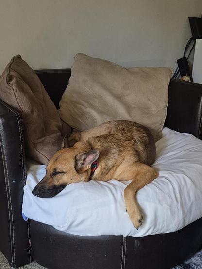 Artemis knocked out