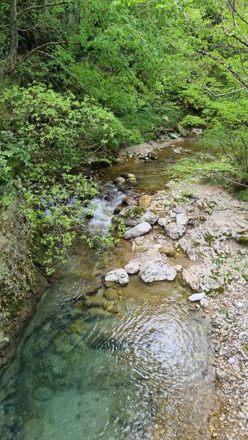 English A blue water river in the forest
Français Une rivière aux eaux bleues en forêt