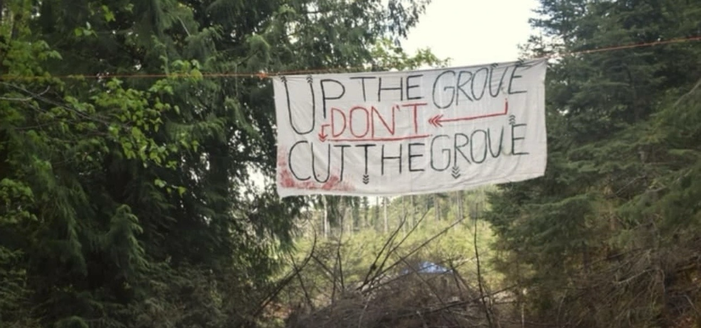 A banner hanging between trees in the forest that says “up the grove don’t cut the grove”
