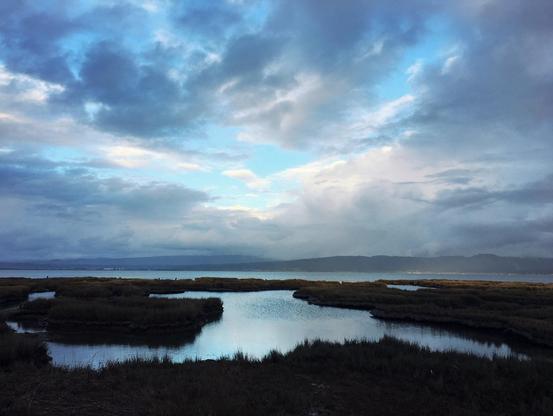 Outside, daytime. A blue sky with white and gray clouds linger above some hills in the background. The foreground alternates between calm blue water and shadowy marsh grasses.