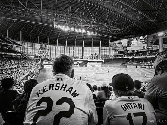 Back view of father wearing Kershaw uniform and son wearing Otani uniform. They’re sitting outfield seats and looking at the field