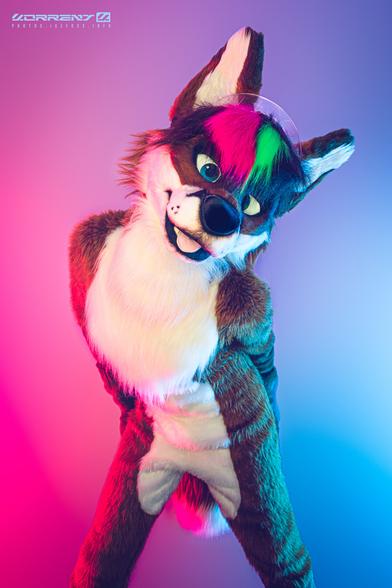 A photo of me wearing my fox fursuit, posing for the camera with my paws behind my back and tilting my head. I'm lit by pink and blue hues.