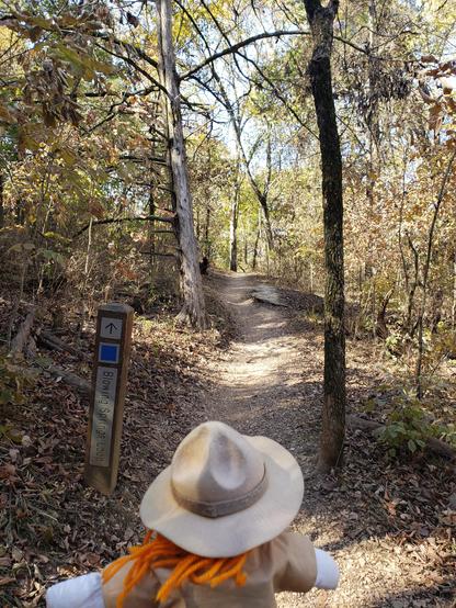Ranger Sarah heads uphill on the Blowing Springs Trail. This trail system is very well marked.
— at Blowing Springs Park, Arkansas