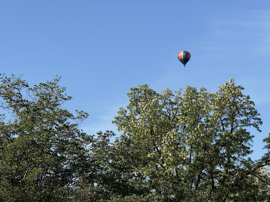 Rainbow colored hot air balloon floating in a blue sky above green trees