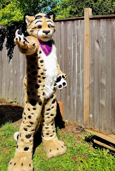 Fursuit photo of Obscura standing in a yard with a fence behind them. They have their handpaws out with one towards the camera and are wearing a shiny purple bandana