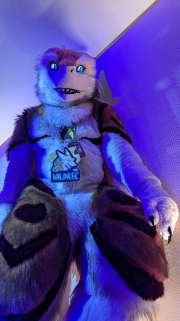 Me wearing my sergal fursuit with blue lights, the photo is taken from above giving the impression I m bigger (or you smaller) than me.