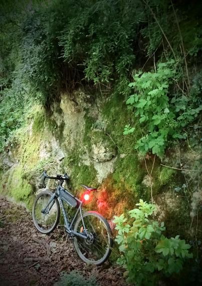 A gravel bike is standing against a rocky wall. There is green moss and little trees.
The red light of the bike is on.