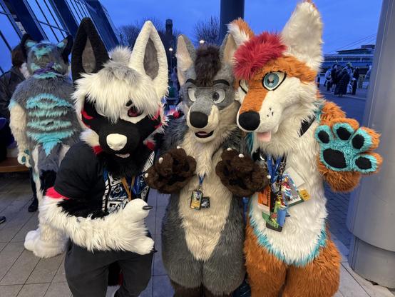 three fursuiters posing together outside the glasgow crowne plaza at dusk; from left to right, a black, white, and red wolf with large ears and a t-shirt; a grey and white wolf with a visor and brown paws; and an orange, white, and turquoise fox with a pink tuft of hair, sticking out its tongue and holding up a paw.