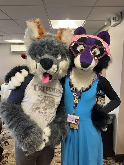 Houston the foxdog and Aubergine the raccoon pose next to each other. Houston sports a Triumph motorcycles tee and grins at the camera, tongue flopping out. Aubergine puts one arm around his shoulder and smiles sweetly, wearing a blue sundress, pink heart-shaped glasses and a pink beanie.