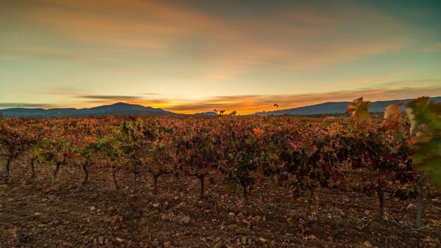 This shift signals broader agricultural challenges.