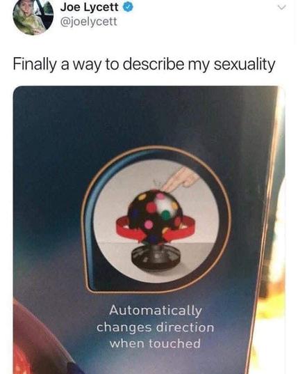 Picture of a rotating disco light with instruction "Automatically changes direction when touched". The picture is captioned "Finally a way to describe my sexuality".