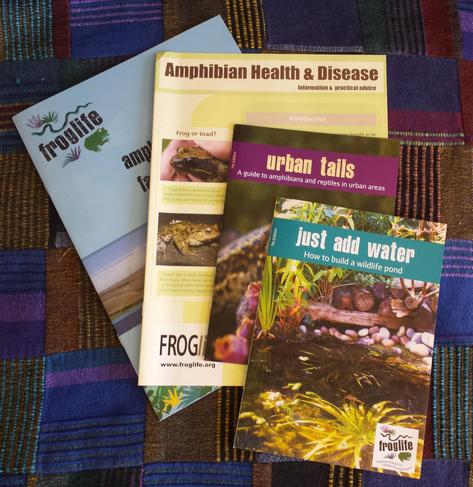 Photo of some leaflets about reptiles, amphibians, and ponds on a blue and purple throw.