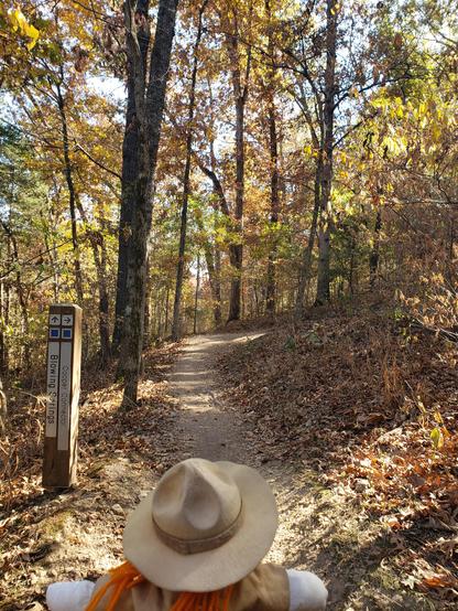 Ranger Sarah approaches another trail junction. She will be continuing straight ahead.
— at Blowing Springs Park, Arkansas