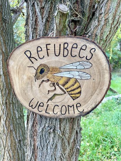 Eine Baumscheibe mit einer detailliert gemalten Biene und dem Schriftzug „Refubees Welcome“ hängt an einem Baum, der auf einer Wiese steht.