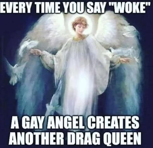 Every time you say "woke", a gay angel creates another drag queen