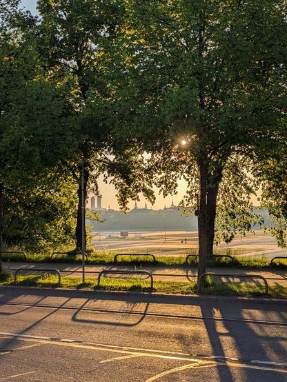 Morgensonne über der Theresienwiese in München von der Bavariastraße aus gesehen.