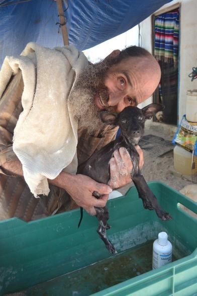 A bearded, mostly bald man hunches over a milk crate with a towel over his shoulder and a black puppy in his hands. The pup is still a little soapy, having obviously just been bathed by the man. There are soap suds on the man's fingers and sudsy water in the bottom of the milk crate. Both the man and the pup have turned their heads to the camera. The man has an animated and gleeful expression on his face, while the pup looks serene