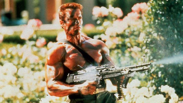 Guns, muscles and rose bushes!