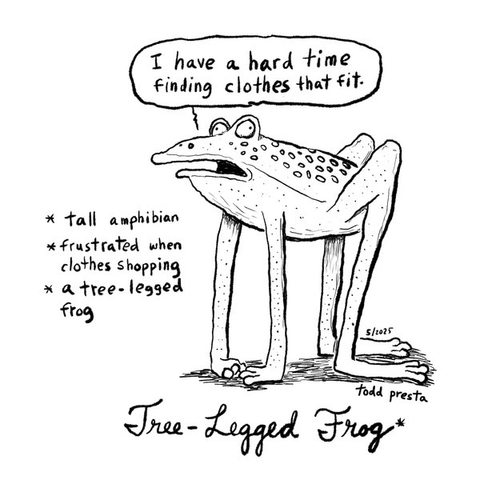 Doodle of a frog with really long legs saying, “I have a hard time finding clothes that fit.” Also contains the aforementioned haiku.