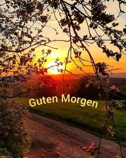 Das Bild fängt einen wunderschönen Morgenmoment ein. Die Sonne geht gerade auf oder ist knapp über dem Horizont und taucht den Himmel in warme Farben von Orange, Gelb und sanften Rosatönen. Die Landschaft ist sanft hügelig und von grünen Feldern und Bäumen bedeckt. Im Vordergrund sind Äste eines Baumes mit zarten Blüten zu sehen, die den Blick auf die aufgehende Sonne umrahmen. Ein schmaler, unbefestigter Weg schlängelt sich durch die Landschaft. Der Text "Guten Morgen" ist in einer freundlichen, kursiven Schrift in das Bild eingefügt. Die gesamte Szene vermittelt ein Gefühl von Ruhe und dem friedlichen Beginn eines neuen Tages.