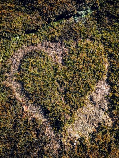 A top-down shot shows a patch of moss in the shape of a heart, growing on a rough, light-coloured stone. The moss is predominantly green with hints of brown and is denser around the edges, forming an irregular, roughly circular shape where it meets the less vegetated centre. Some scattered dry leaves are visible within the moss. The lighting suggests it might be outdoors, with some areas appearing brighter than others.