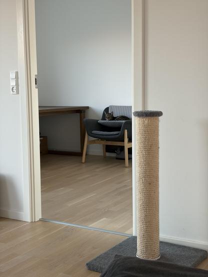 My brown tabby boy lies in a grey striped radiator bed hung over the back of a chair, the bed hovering over the seat. His head is upright and his eyes are closed. He’s presenting the patented cat smile.