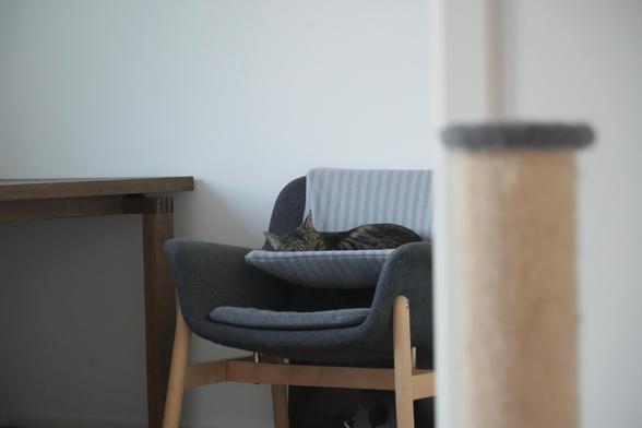 Same scene but zoomed in on the boy who is now comfortably sleeping, resting his cheek on the side of the bed.