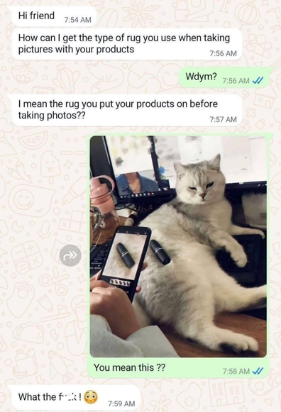 White: Hi friend
White: How can I get the type of rug you use when taking pictures with your products
Green: Wdym?
White: I mean the rug you put your products on before taking photos??
Green: You mean this?? (A photo of the person taking a photo of some sort of lipstick on a cat. The entirety of the cat is not visible in the photo)
White: What the fuck! 😳