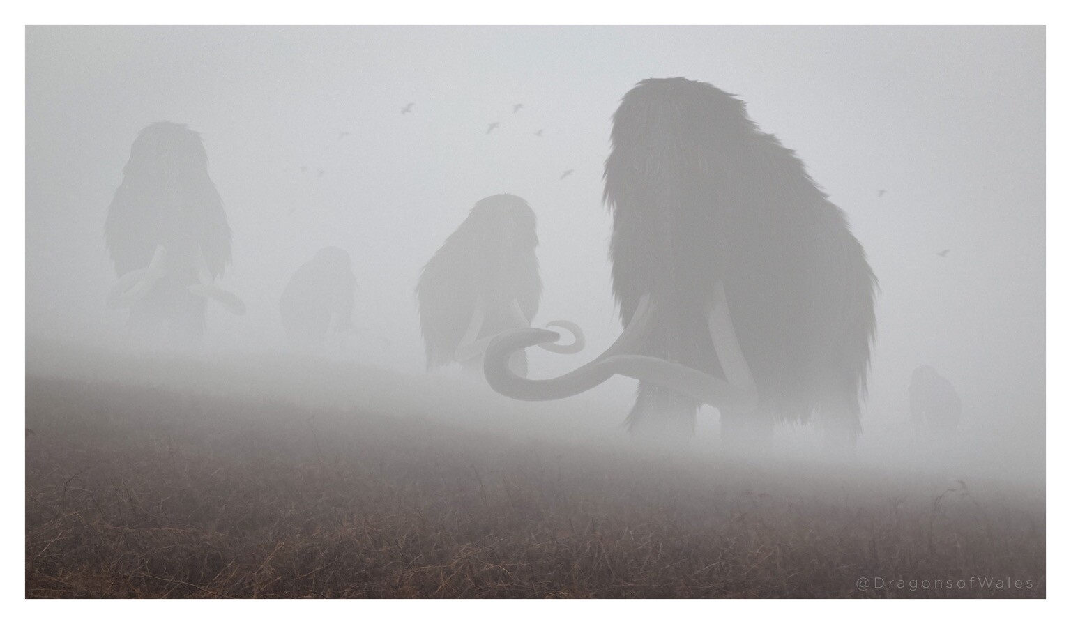 A herd of woolly mammoths, emerging from thick fog. 