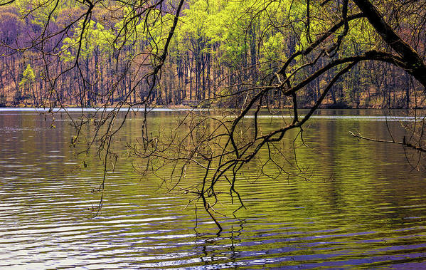 Peaks of Otter off the Blue Ridge Parkway Awakening in Spring reflected in Abbott Lake between Lynchburg and Roanoke Virginia:

https://pixels.com/featured/the-awakening-norma-brandsberg.html

More art: www.ElegantFinePhotography.com
