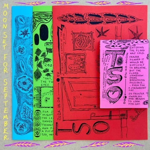 A set of four illustrated zines on different colour papers, with many drawings of flowers, leaves and an open door. 