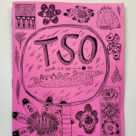 The front cover of an illustrated comic/zine that features a big magnifying glass, and inside is Fraser the cat flying through the air with the hero eggs in tow. Then there are leaves and flowers all around, and Oat the owlet, and some patterns. 