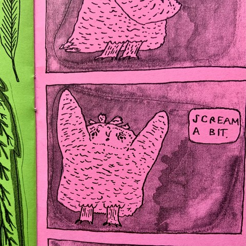 Here is Oat the owlet, wings up, screaming a bit. Living in the toad cave can be frustrating at times. 