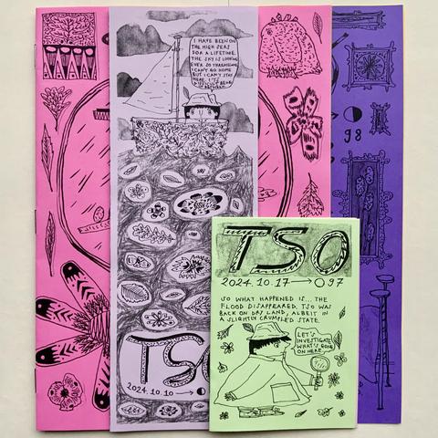 A set of four illustrated comics/zines, on different colour papers. The covers feature detective Tso in a coracle, flowers, leaves, patterns, and picture frames. 
