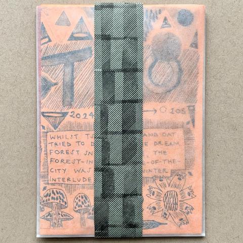 This is the set with just one strip and the envelope.